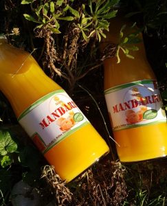 Okusi i mirisi juga - sok od mandarine